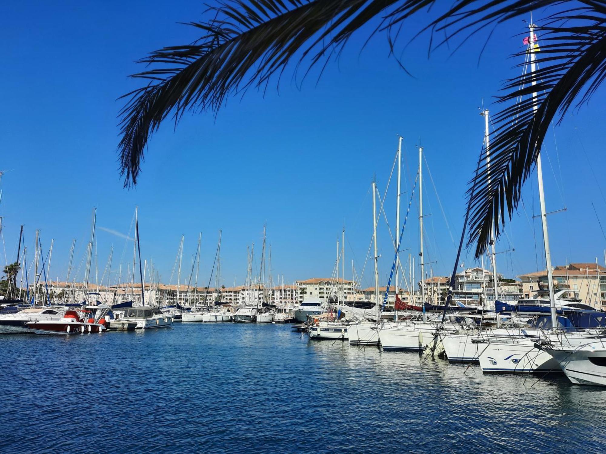 Coeur Marina Climatise Terrasse Parking Fréjus Exterior foto